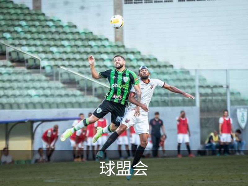 球盟会简介